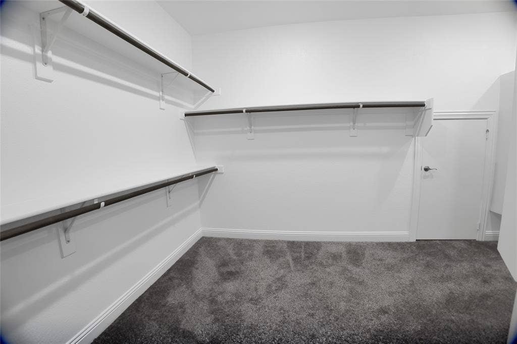 620 Shadow Trail, Frisco, TX 75033 Spacious walk-in closet featuring plush gray carpeting, white walls, and built-in shelving and hanging rods
