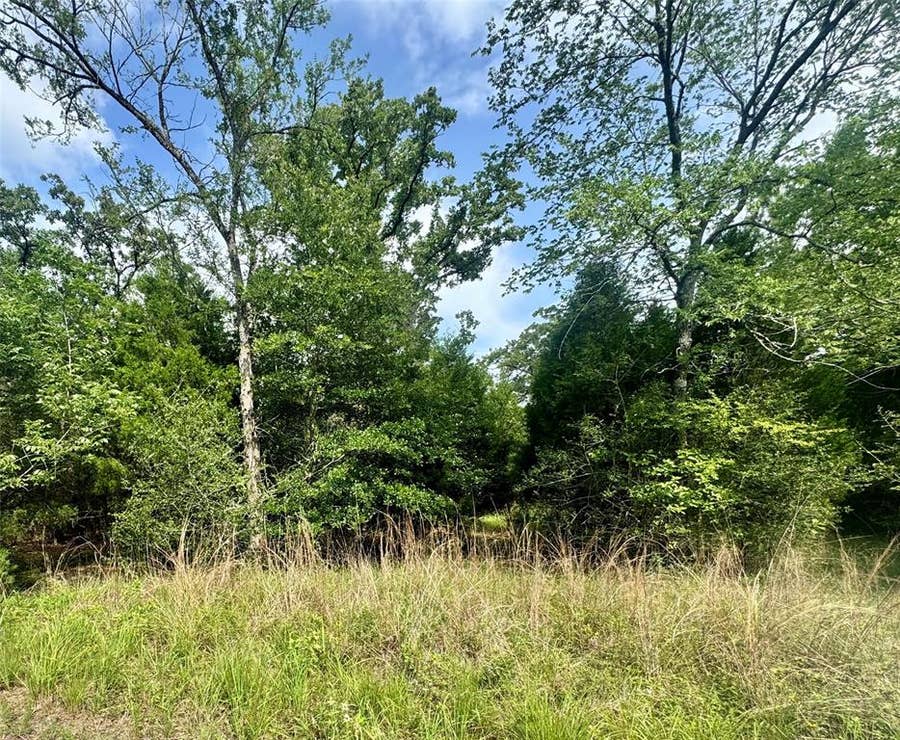 Property photo for lot 2111 Butch Cassidy Drive, Log Cabin, TX
