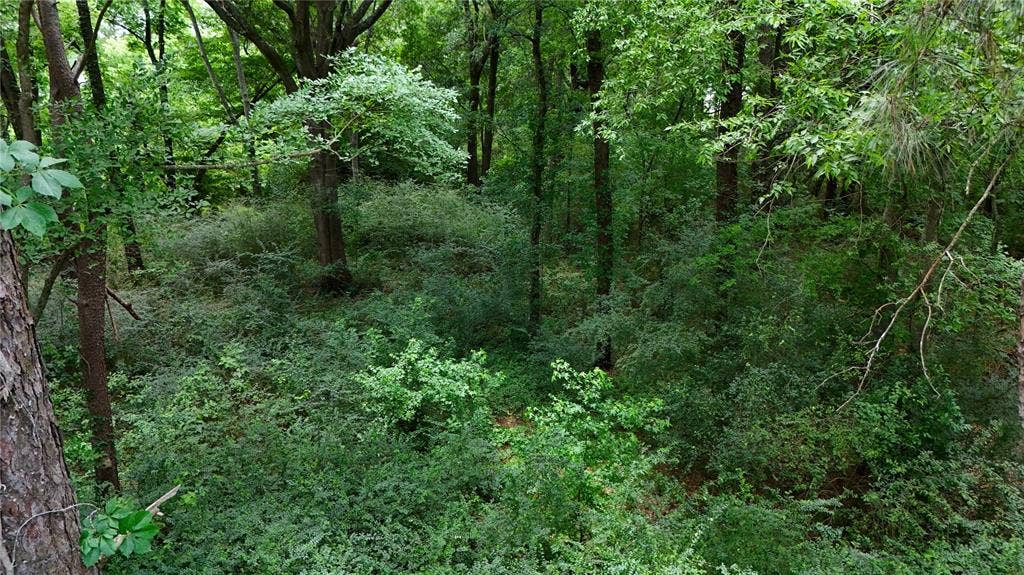 Lot 339 Grand View Drive, Athens, TX 75752 Lot 339 Grand View Drive, Athens, TX 75752