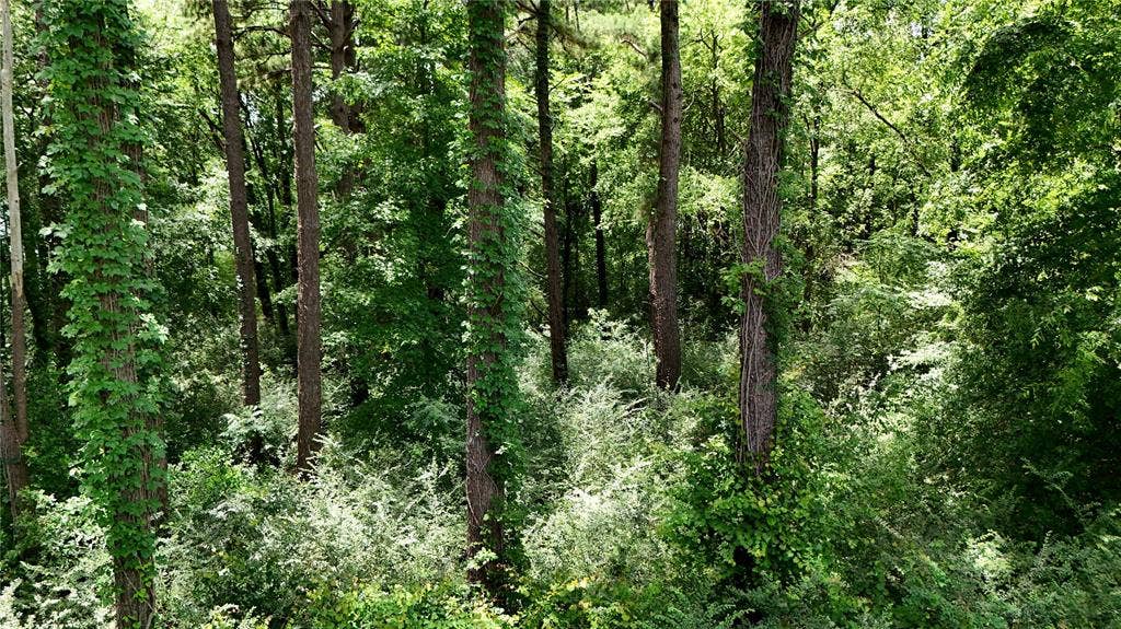 Lot 339 Grand View Drive, Athens, TX 75752 Lot 339 Grand View Drive, Athens, TX 75752
