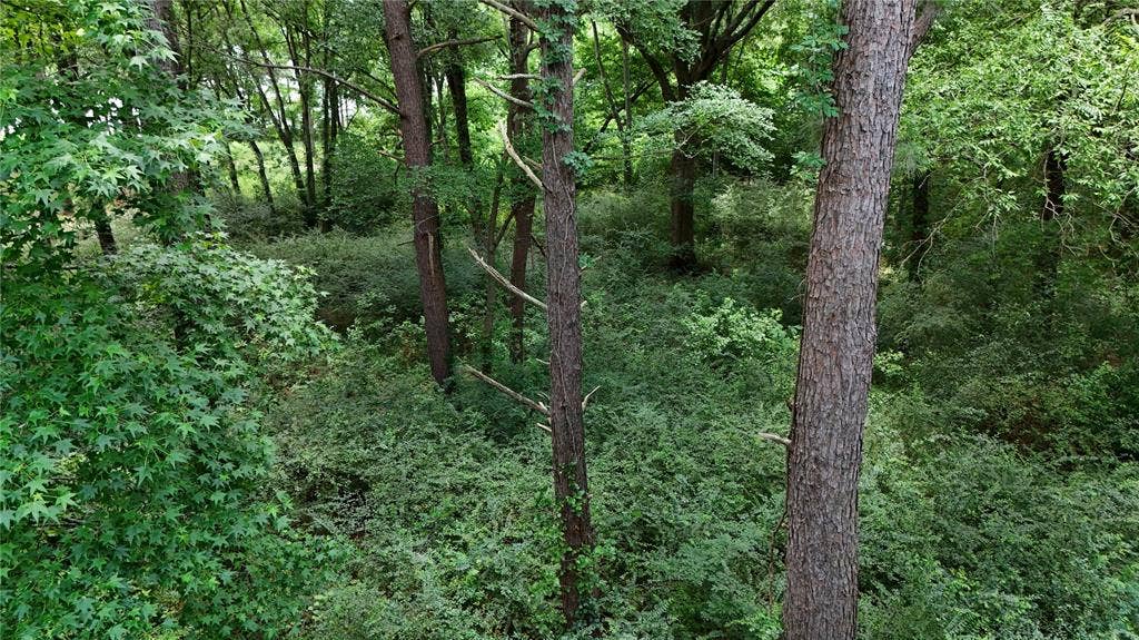 Lot 339 Grand View Drive, Athens, TX 75752 Lot 339 Grand View Drive, Athens, TX 75752