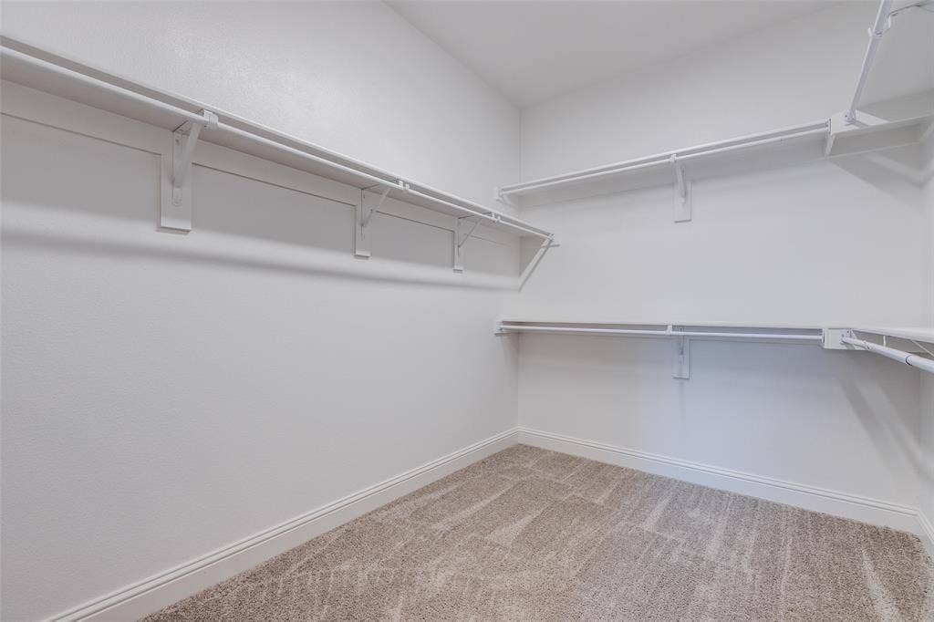 3930 Dalea Drive, Prosper, TX 75078 Primary Walk-in closet featuring light-toned carpet flooring, white baseboards, and white walls