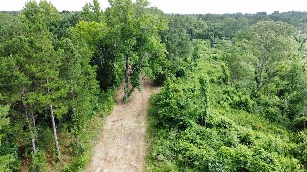 TBD County Road 385, Tyler, TX 75708 TBD County Road 385, Tyler, TX 75708