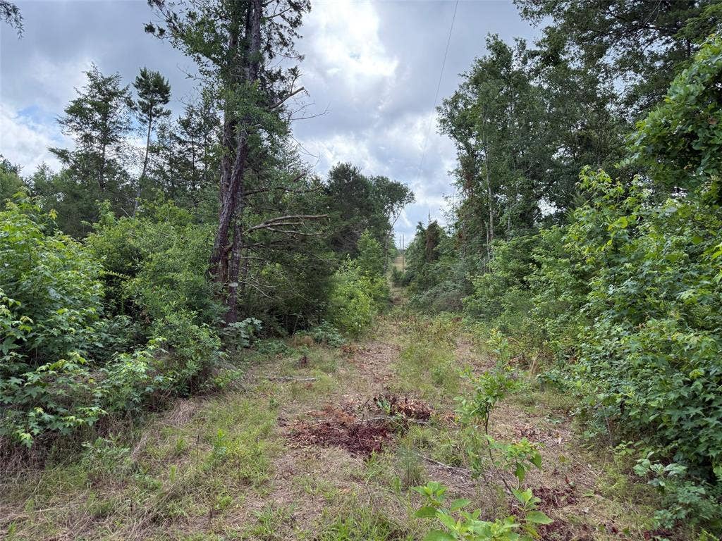 TBD County Road 385, Tyler, TX 75708 TBD County Road 385, Tyler, TX 75708