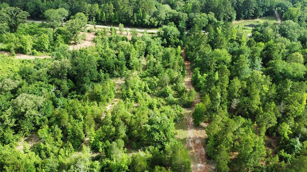 TBD County Road 385, Tyler, TX 75708 TBD County Road 385, Tyler, TX 75708