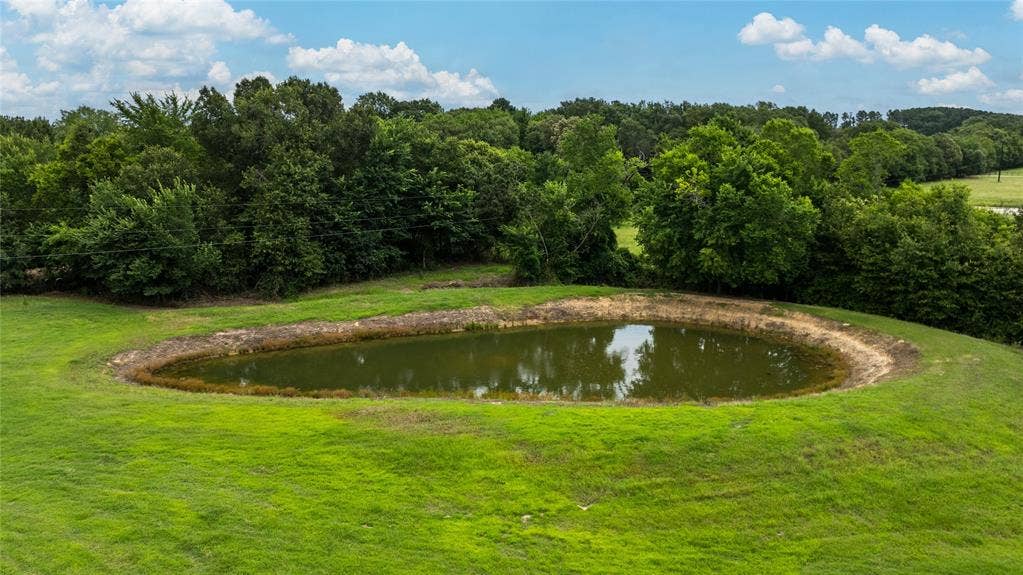 11608 State Highway 19 N, Athens, TX 75752 Pond