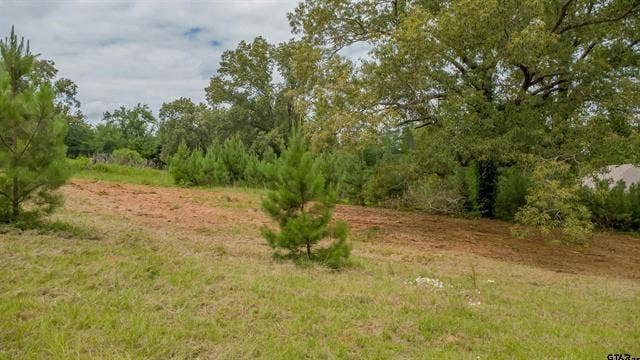18304 Timber Oaks Drive, Hideaway, TX 75771 18304 Timber Oaks Drive, Hideaway, TX 75771