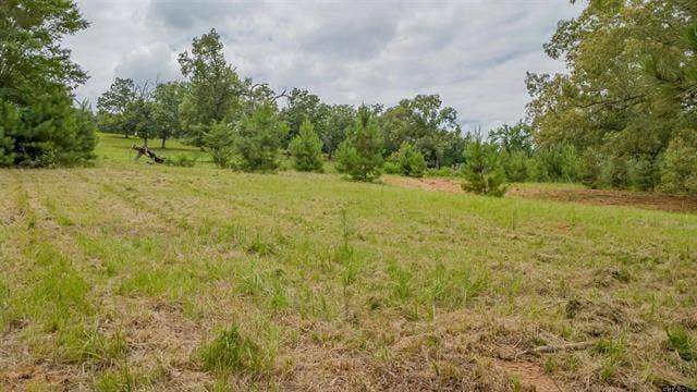 18304 Timber Oaks Drive, Hideaway, TX 75771 18304 Timber Oaks Drive, Hideaway, TX 75771