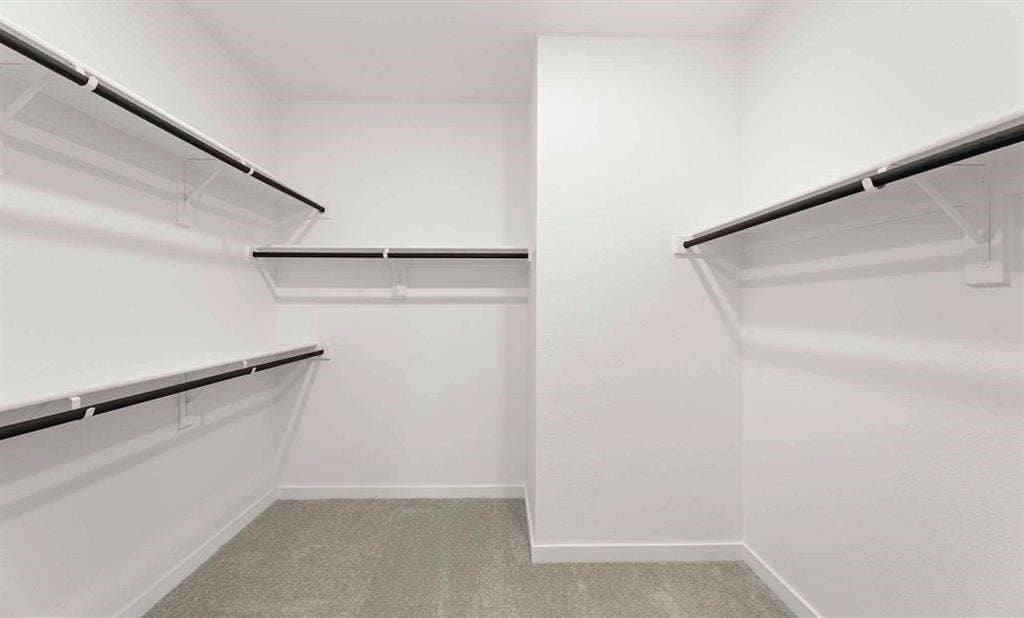 3655 Castle Drive, Celina, TX 75009 Primary Closet Representative Photo