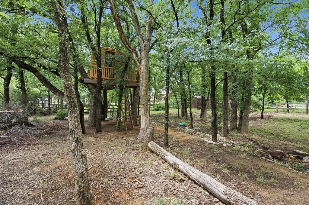 treehouse