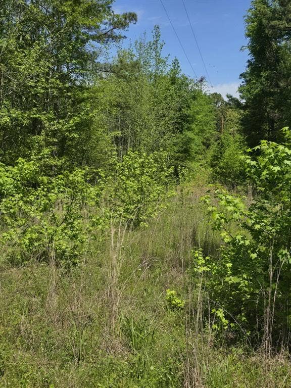 Property photo for TBD County Road 421, Tyler, TX