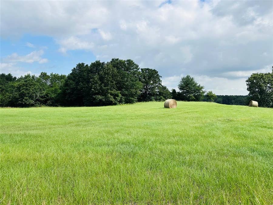 Property photo for TBD Belles Lane, Brownsboro, TX