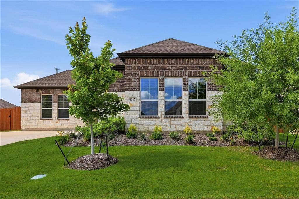 4017 Alpine Street, Midlothian, TX 76065 Brick and stone exterior featuring multiple large windows, dark shingle roofing, and a concrete driveway