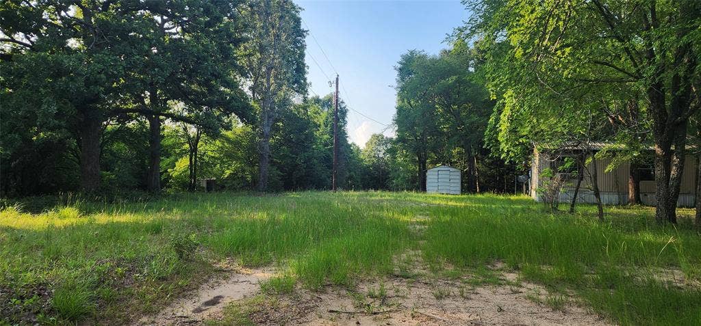 14598 County Road 1122, Athens, TX 75751 Expansive open lot featuring a natural, grassy landscape and mature trees