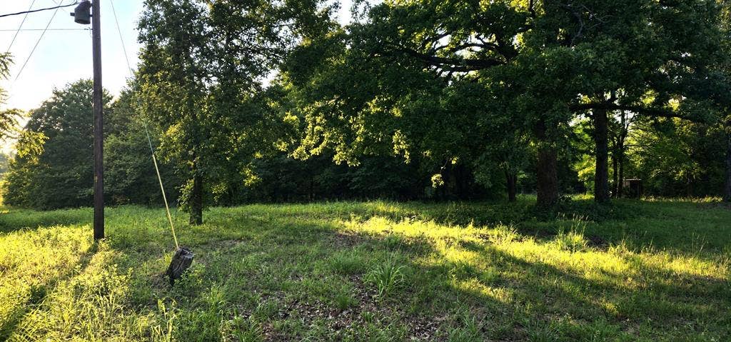 14598 County Road 1122, Athens, TX 75751 10 acres at 14598 CR 1122.