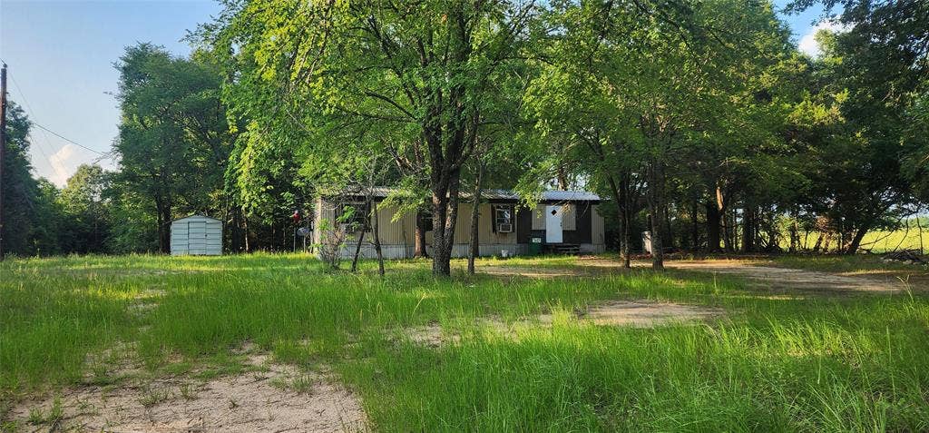 14598 County Road 1122, Athens, TX 75751 Rural property with mature trees, a detached storage shed, and a structure featuring multiple windows