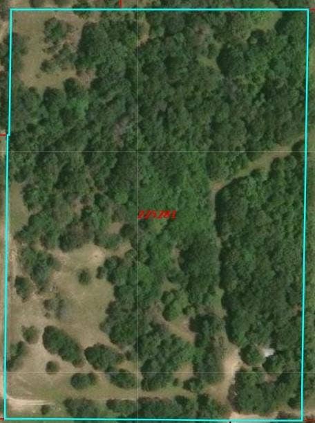 14598 County Road 1122, Athens, TX 75751 Aerial Property Survey. Illustrating the property's boundary and topographical features