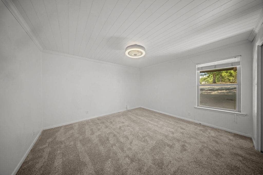 Spacious room featuring neutral carpet, white walls, a white paneled ceiling, and a flush-mount light fixture