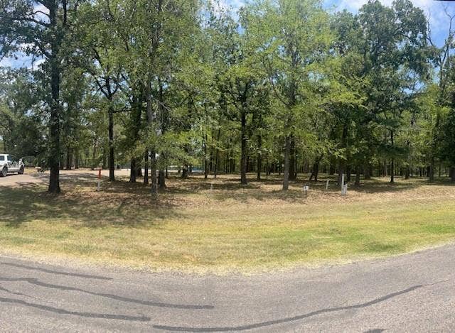 Property photo for 146 St Andrews Drive, Mabank, TX