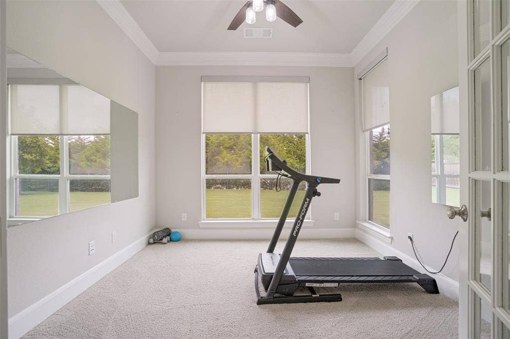 810 Country Brook Lane, Prosper, TX 75078