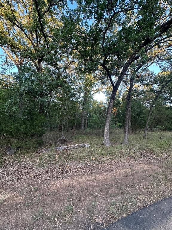 Property photo for 101 Cedar Oaks Drive, Mabank, TX