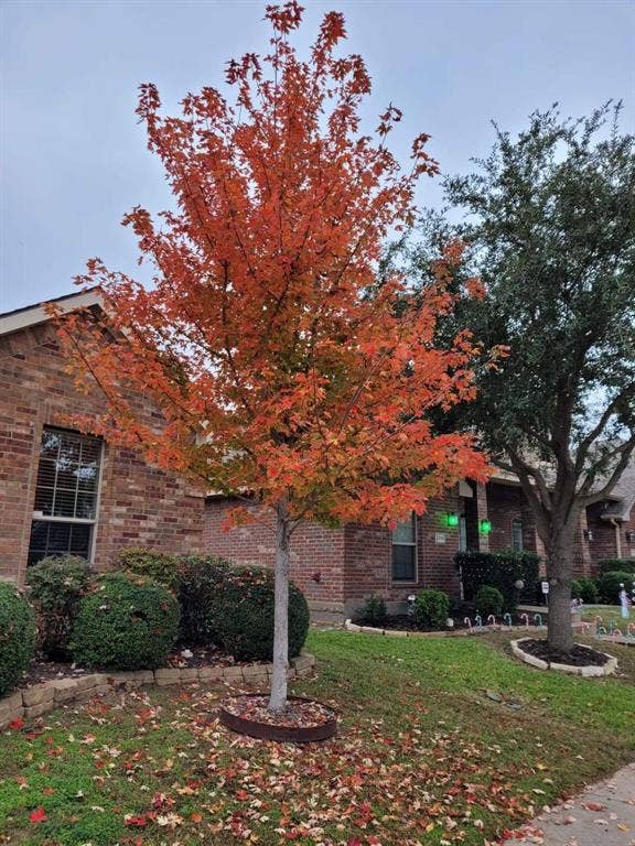 2121 Colby Lane, Wylie, TX 75098 Don't wait too late to buy this home!