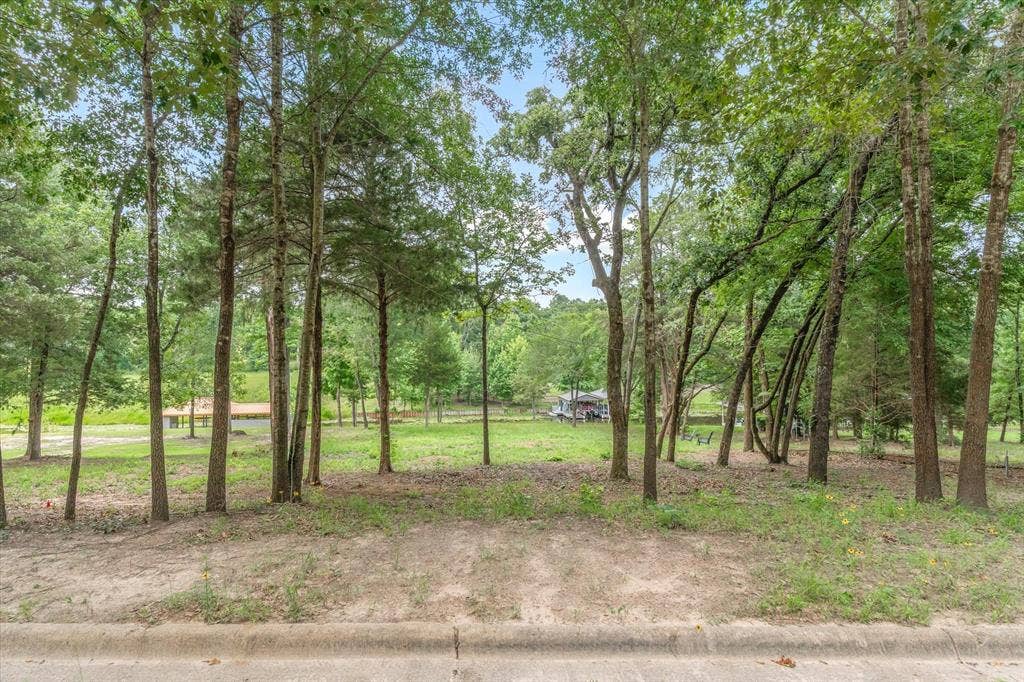5271 Bayshore Drive, Athens, TX 75752 5271 Bayshore Drive, Athens, TX 75752