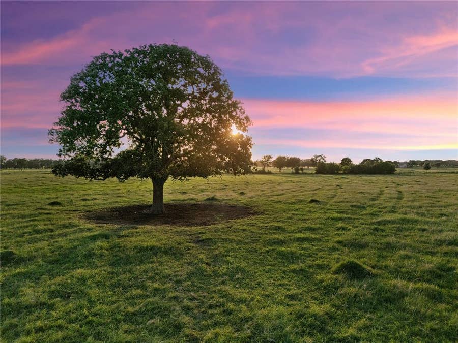 Property photo for 2442 Happy Swaner Lane, Axtell, TX