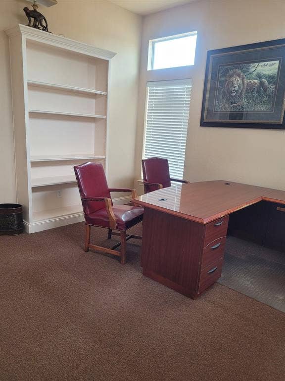 1905 W Ennis Avenue, #301, Ennis, TX 75119 Built-in white shelving unit featuring crown molding detail, neutral wall paint, and brown carpet flooring