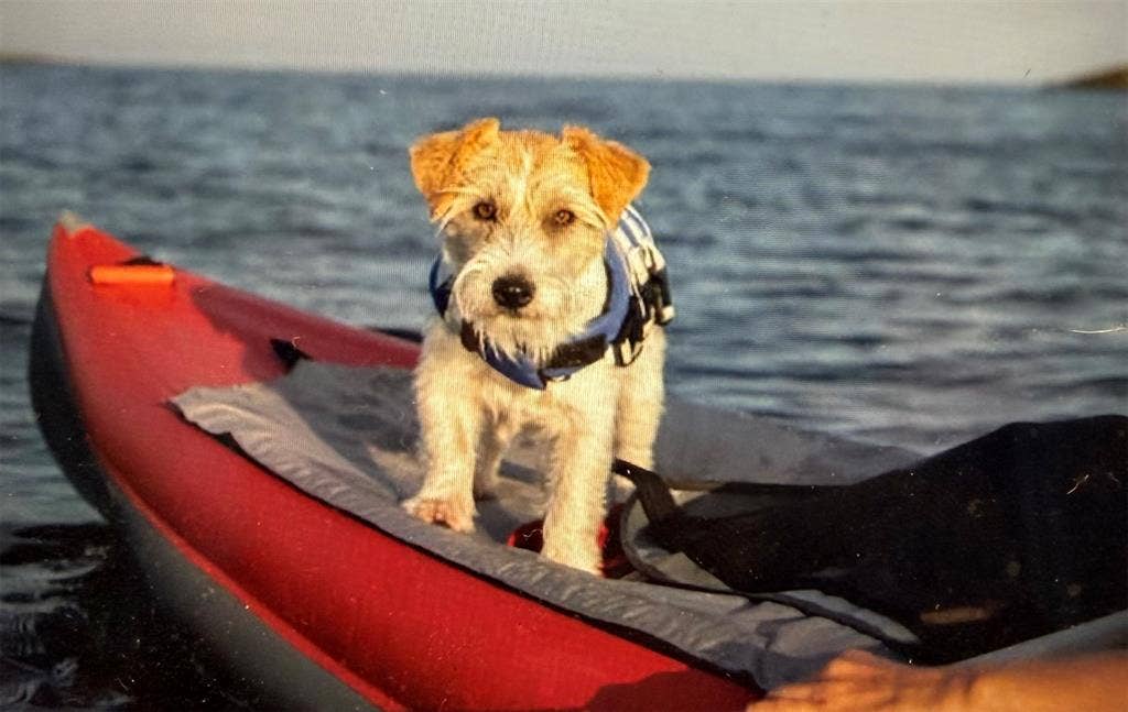 14120 Park Way, Log Cabin, TX 75148 Even our fur babies love the lake