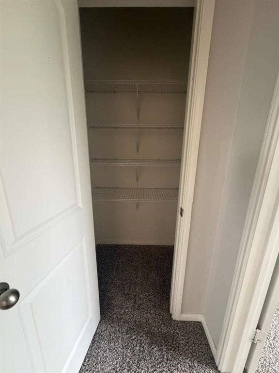 310 Foster Lane, Anna, TX 75409 Interior closet featuring multiple wire shelving units, gray textured carpet, and white trim