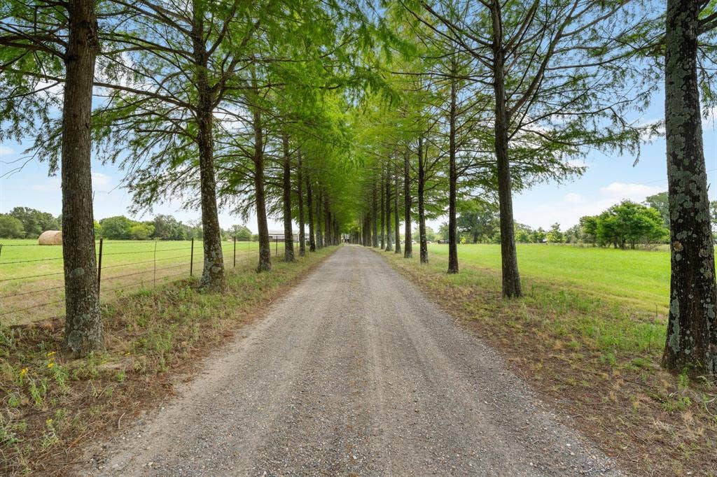 13494 County Road 2919, Eustace, TX 75124 Gravel drive bordered by mature trees and expansive green fields, featuring a wire fence