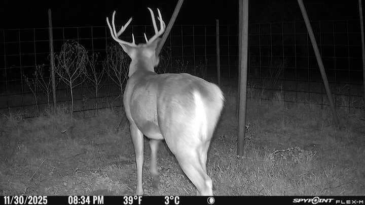 13494 County Road 2919, Eustace, TX 75124 13494 County Road 2919, Eustace, TX 75124