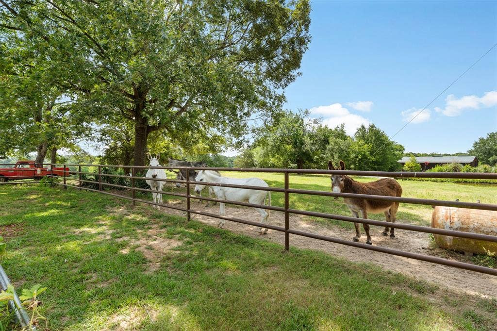 13494 County Road 2919, Eustace, TX 75124 13494 County Road 2919, Eustace, TX 75124