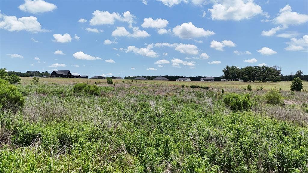 LOT 5 CR 4507, Athens, TX 75752 LOT 5 CR 4507, Athens, TX 75752