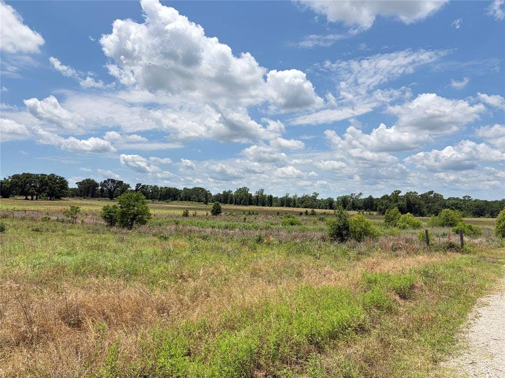 LOT 6 CR 4507, Athens, TX 75752 LOT 6 CR 4507, Athens, TX 75752