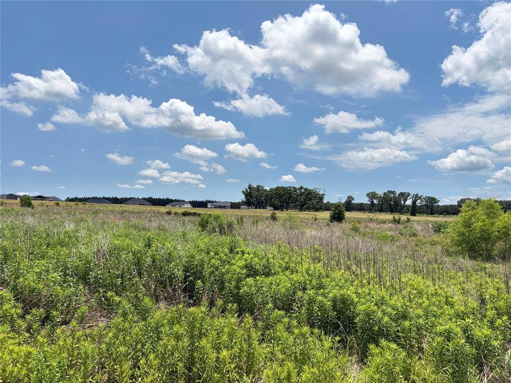 LOT 10 CR 4507, Athens, TX 75752 LOT 10 CR 4507, Athens, TX 75752