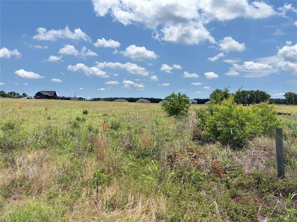 LOT 12 CR 4507, Athens, TX 75752 LOT 12 CR 4507, Athens, TX 75752