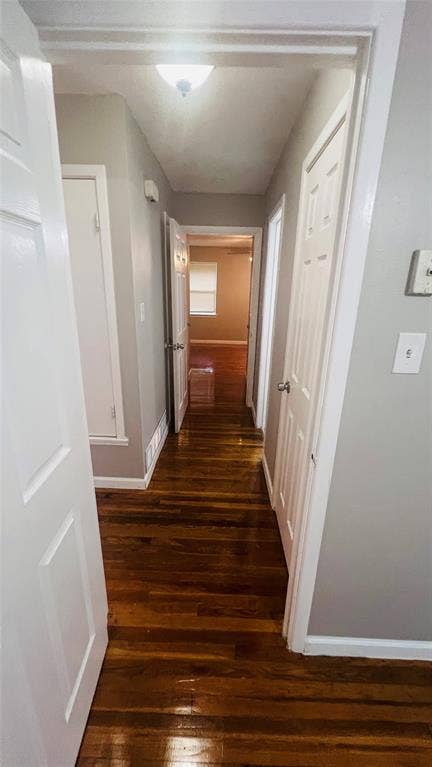 909 Laguna Drive, Denton, TX 76209 Hallway featuring rich wood-finish flooring, light gray wall paint, white trim, and a ceiling-mounted light fixture