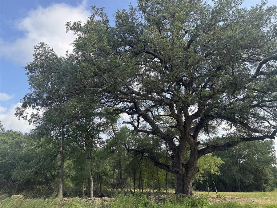 Property photo for 318 Whitetail Drive, Waco, TX