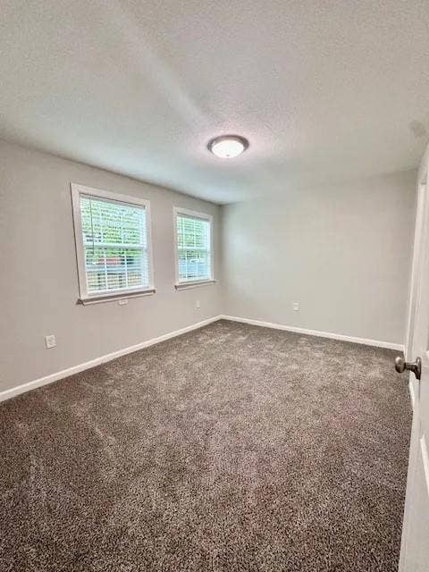 5280 Atwell Lane, #B, Denton, TX 76208 Carpeted interior room featuring light gray wall paint, two windows with white trim, and a flush mount ceiling light fixture