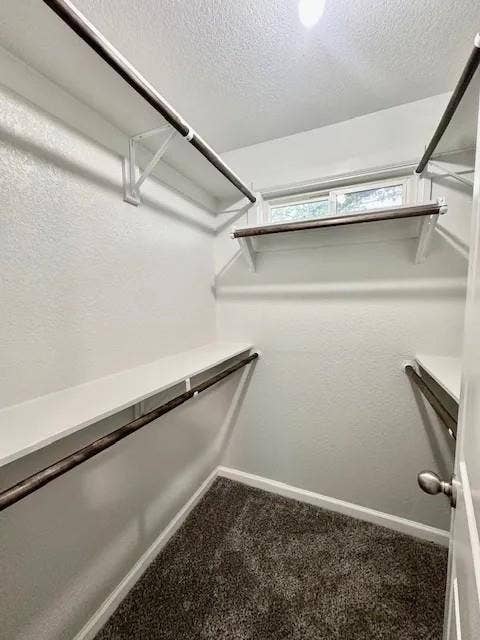 5280 Atwell Lane, #B, Denton, TX 76208 Walk-in closet with plush carpeting and a small window