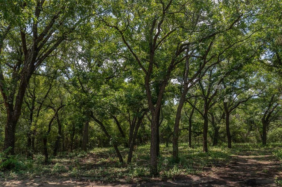 Property photo for 1030 Shiloh Vista Lane, Tolar, TX