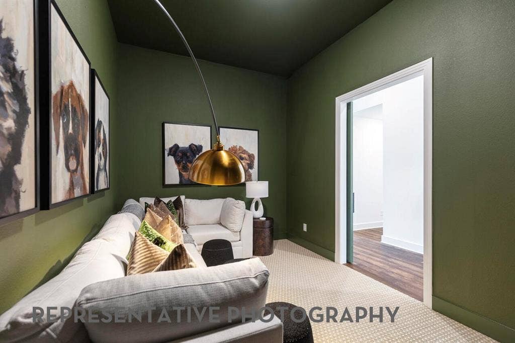 Entertainment Room