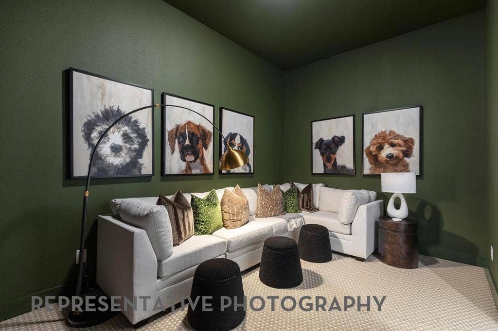 Entertainment Room