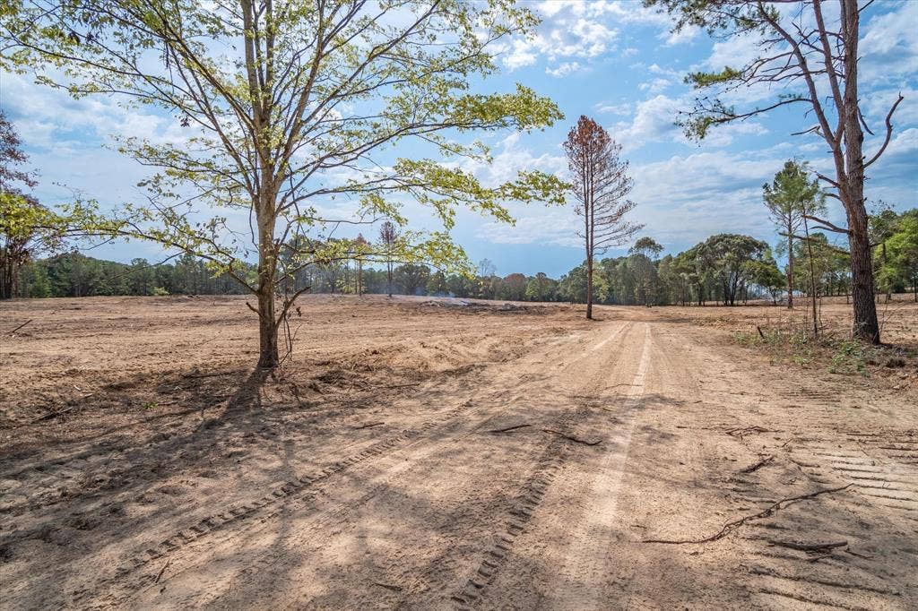 Tract 2 - TBD County Road 4307 Road, Larue, TX 75770 Expansive cleared land parcel with a visible dirt path and mature trees