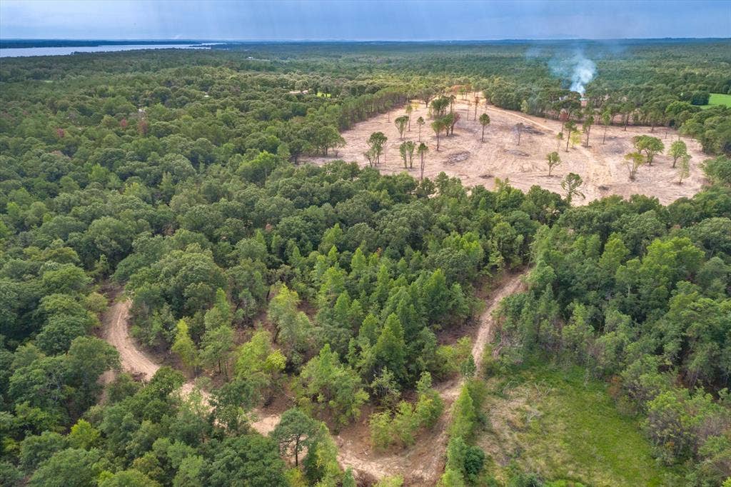 Tract 2 - TBD County Road 4307 Road, Larue, TX 75770 Expansive land parcel featuring dense tree coverage, a cleared area with scattered trees, and visible dirt paths