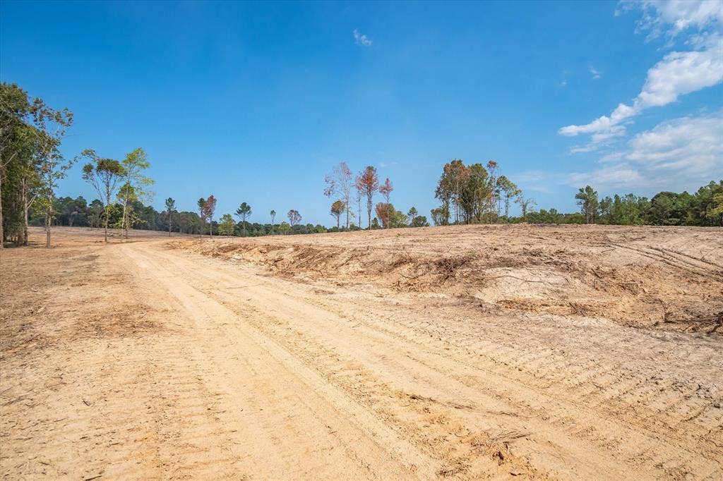 Tract 2 - TBD County Road 4307 Road, Larue, TX 75770 Expansive cleared land parcel featuring a visible dirt path and scattered mature trees