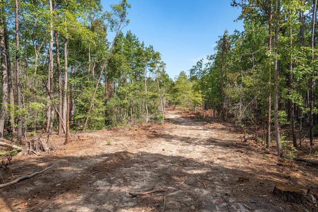 Tract 2 - TBD County Road 4307 Road, Larue, TX 75770 Tract 2 - TBD County Road 4307 Road, Larue, TX 75770