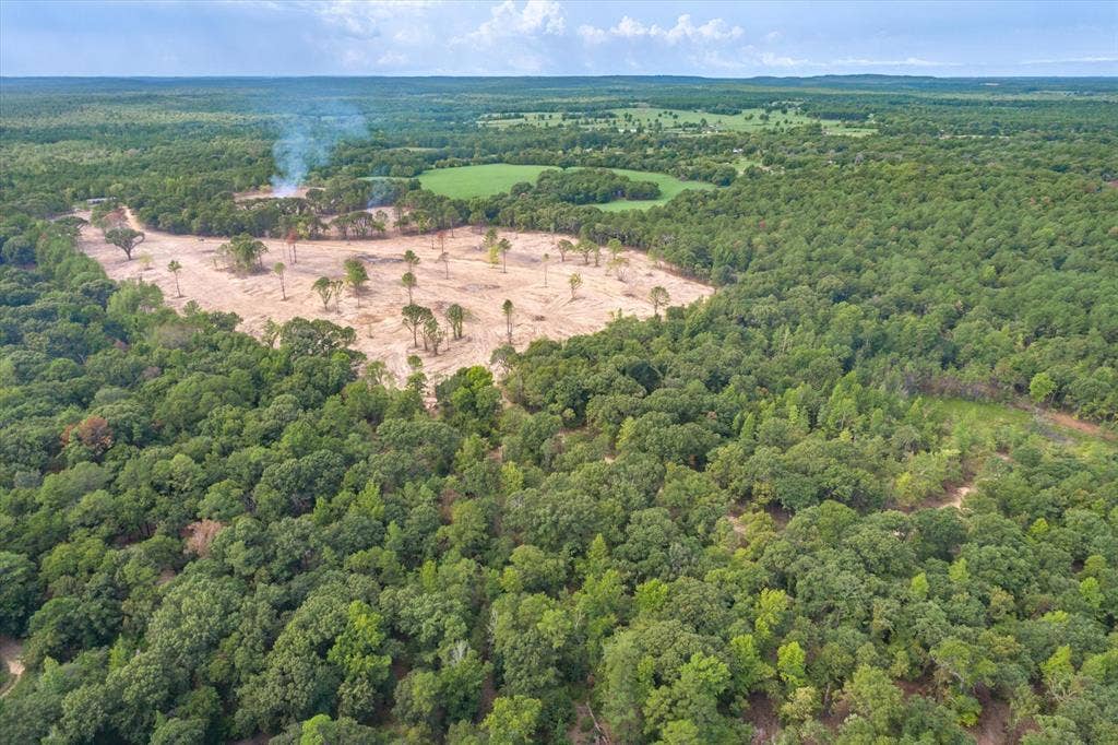 Tract 2 - TBD County Road 4307 Road, Larue, TX 75770 Expansive land parcel featuring cleared areas and dense tree coverage